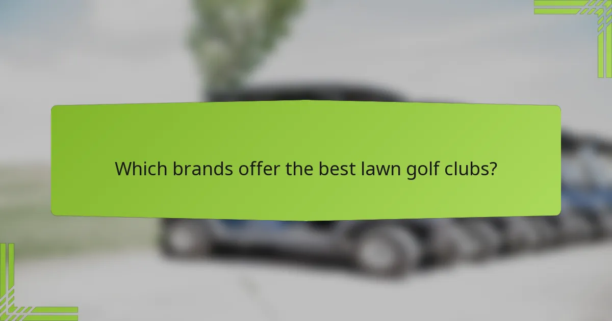 Which brands offer the best lawn golf clubs?